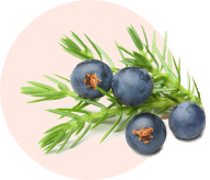 ingredient 3