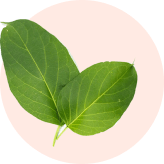 ingredient 3
