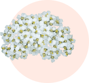ingredient 3